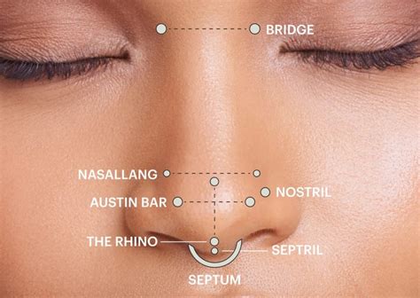 nasallang piercing|nose piercing healing process pictures.